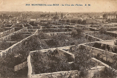 Connaissez-vous l'histoire des murs à pêches ? Voici pourquoi ce site est classé Jardin Remarquable