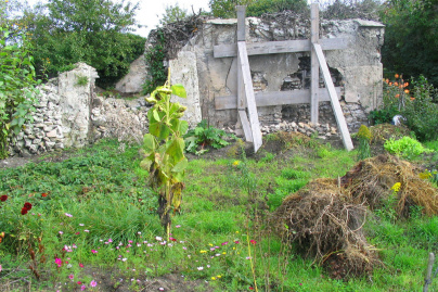 Connaissez-vous l'histoire des murs à pêches ? Voici pourquoi ce site est classé Jardin Remarquable
