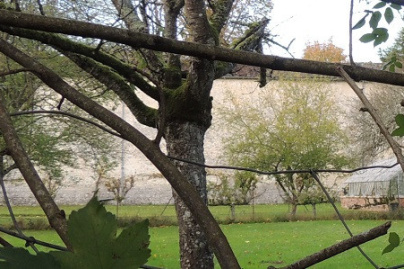 Longtemps laissé à l'abandon, ce château d'Île-de-France devrait rouvrir avec des espaces immersifs