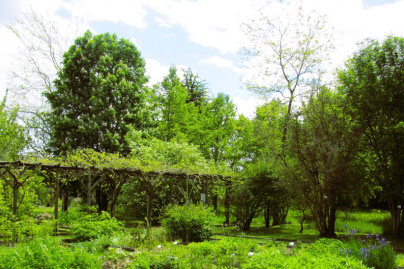 Journées du Patrimoine 2026 : découvrez le conservatoire national des plantes à Milly-la-Forêt