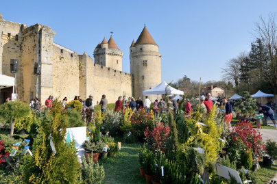 Rendez-vous aux Jardins 2023 : visite guidée et atelier potager au château de Blandy-les-Tours (77)