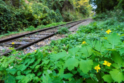 La petite ceinture