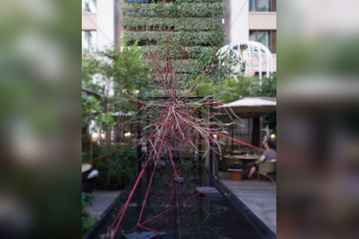 The Red Garden : installation artistique et cocktails éphémères au Mandarin Oriental