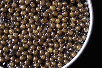 Salon gastronomique Mer & Vigne à l'Espace Champerret