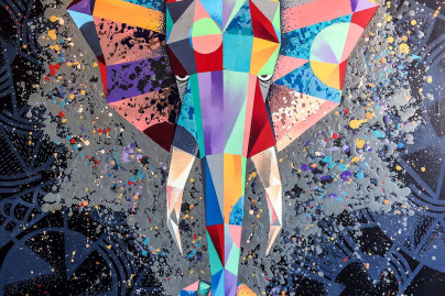 Paddle Paddle à la Boule Noire