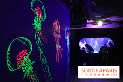 Les récifs Coralliens s'exposent à l'Aquarium de Paris