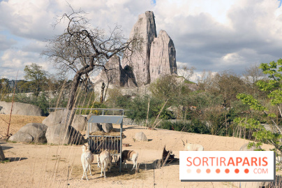 Zoo de Vincennes, Parc Zoologique de Paris 2017