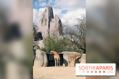 Zoo de Vincennes, Parc Zoologique de Paris 2017