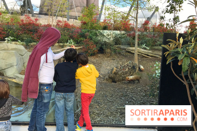 Zoo de Vincennes, Parc Zoologique de Paris 2017