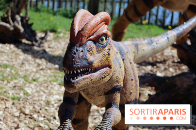 DinoZOOres II au Zoo de Thoiry