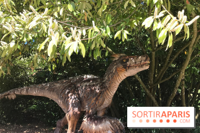 DinoZOOre II au Zoo de Thoiry, album 2