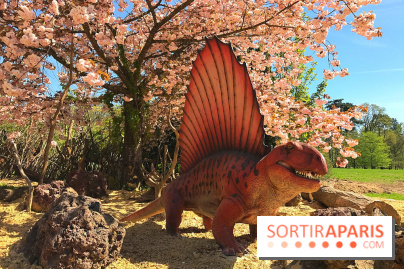 DinoZOOre II au Zoo de Thoiry, album 2