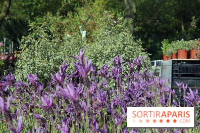 Jardins en Seine 2017