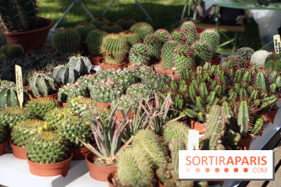 Jardins en Seine 2017