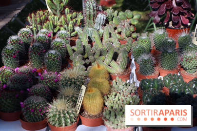 Jardins en Seine 2017