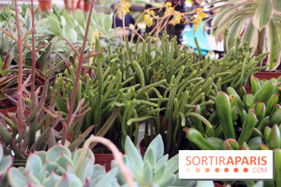 Jardins en Seine 2017