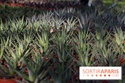 Jardins en Seine 2017