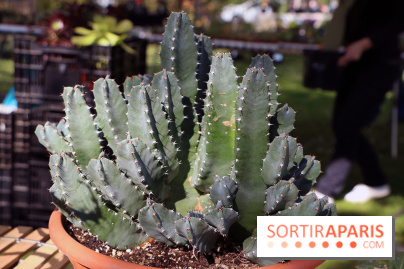 Jardins en Seine 2017