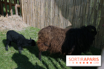 Jardins en Seine 2017