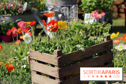 Jardins en Seine 2017