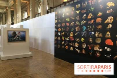 National Geographic s'expose au MNHA : nos images de l'expo