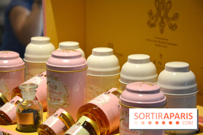 La Marie-Antoinette à l'Hôtel de Vendôme