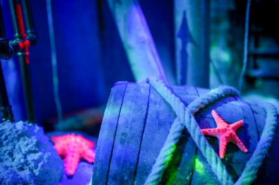 Règlement de contes : l'escape game fantastique chez Pandore & Associés