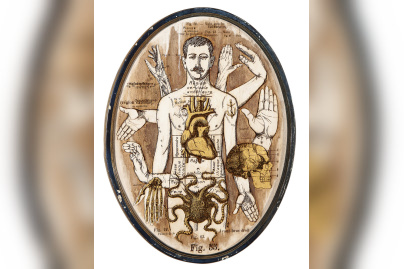 Anatonirisme : l'exposition gratuite entre art et science à la galerie La Lison