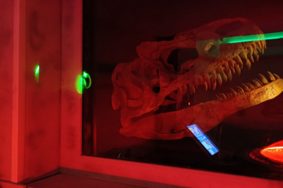 T.Rex Mission : l'escape game avec plein de dinosaures chez Escape Lab
