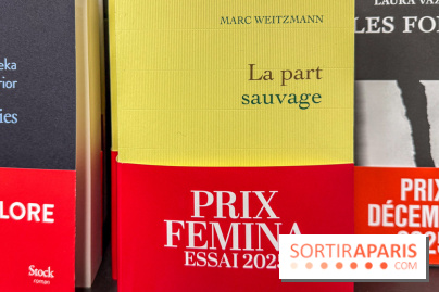 Prix Femina 2025 : Nathacha Appanah récompensée pour La Nuit au cœur