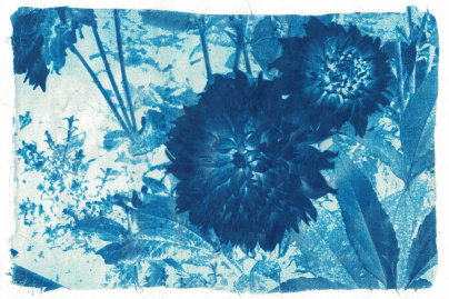 Des ateliers de cyanotype pour les familles au Café QJ