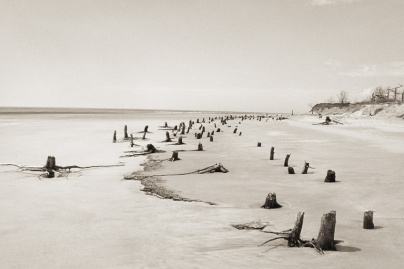Corps littoral : l'exposition de Camille Guichard à la galerie Rachel Hardouin