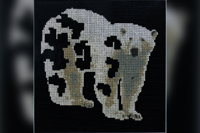 Espèces Menacées, l’exposition à la galerie Accueil de Montreuil