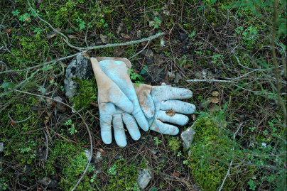 Quests are sometimes disappointing, l’expo photo à la galerie Frangulyan