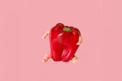 Hybrides, l'exposition à l'Espace Commines