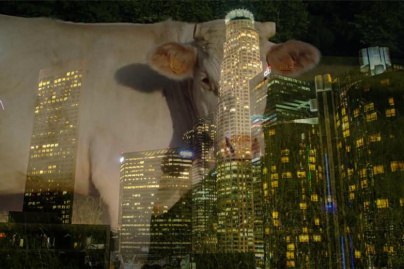 Exposition Laure Prouvost au Studio des Acacias