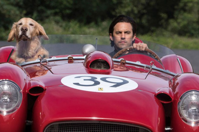 The Art of Racing in the Rain : bande-annonce