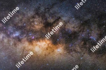 Coronavirus : Lifetime, la réponse artistique de Lafayette Anticipations au confinement