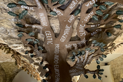 Mundolingua, le musée insolite des langues, du langage et de la linguistique rouvre ses portes