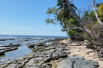 Covid : la vaccination obligatoire pour les adultes et touristes en Nouvelle-Calédonie