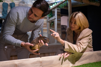 Le Monde de Noé : la première expérience immersive dans le monde animal à Paris