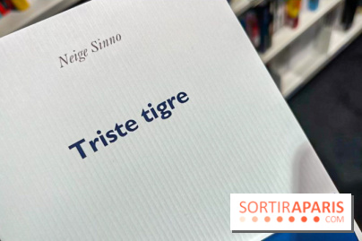 Prix Femina 2023 : "Triste tigre" de Neige Sinno récompensé, un roman qui brise le silence
