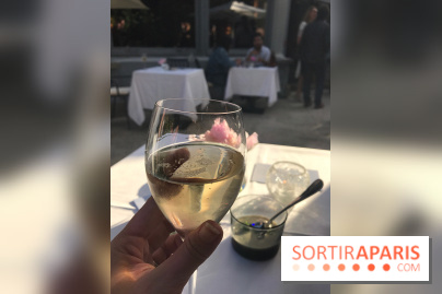 La Terrasse du Pavillon Ledoyen