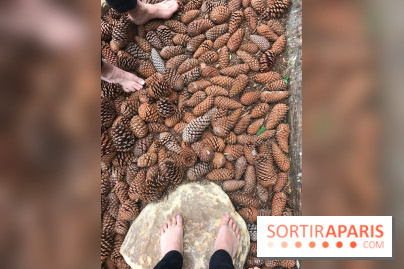 Le Parcours Biodiversité du Parc Zoologique de Paris