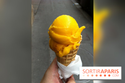 Bac à Glace, Sorbet Mangue