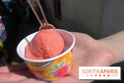 Berthillon, Sorbet Framboise