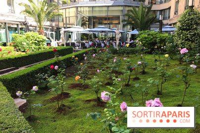 Le menu cajun du Safran à l'Hôtel du Collectionneur