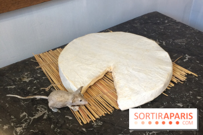 Musée des peintres de Barbizon