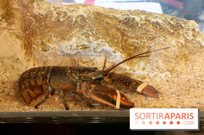 Grand Bistro Breteuil