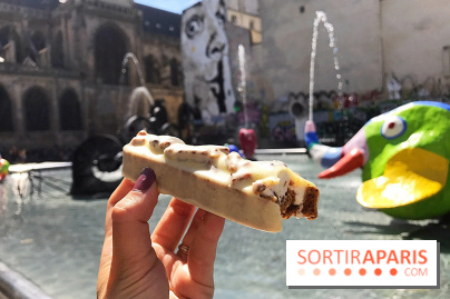 Les glaces 2017 de l'Eclair de Génie